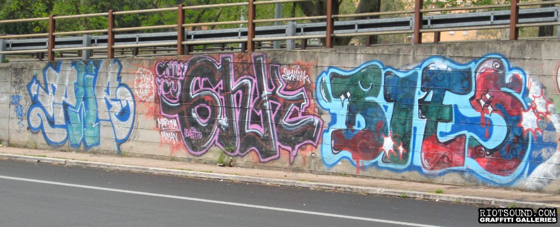 Roma Graffiti Arte