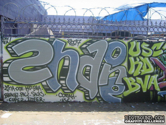 2NA Venice Beach Graff