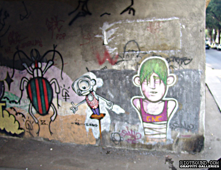 Brazilian Graffiti Art