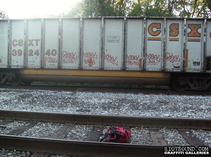 Freight Train Graffiti 1