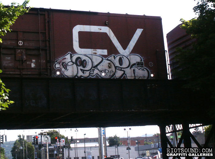 Freight Train Graffiti 001
