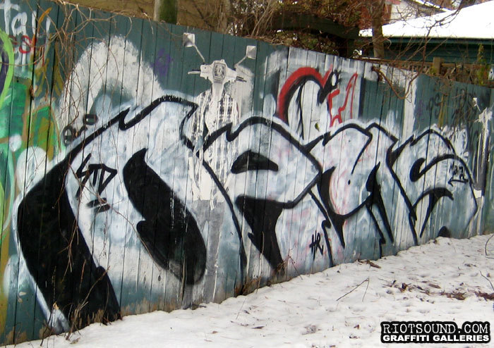 Graffiti Fillin In Ottawa