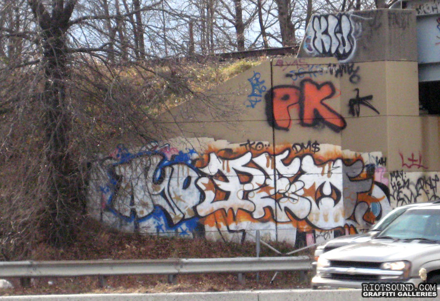 Graffiti On Highway 1