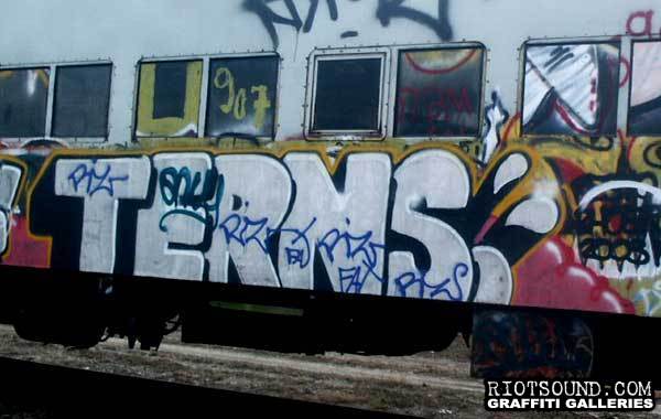 Terns Subway Graffiti
